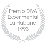 Premio DIVA Experimental La Habana 1993